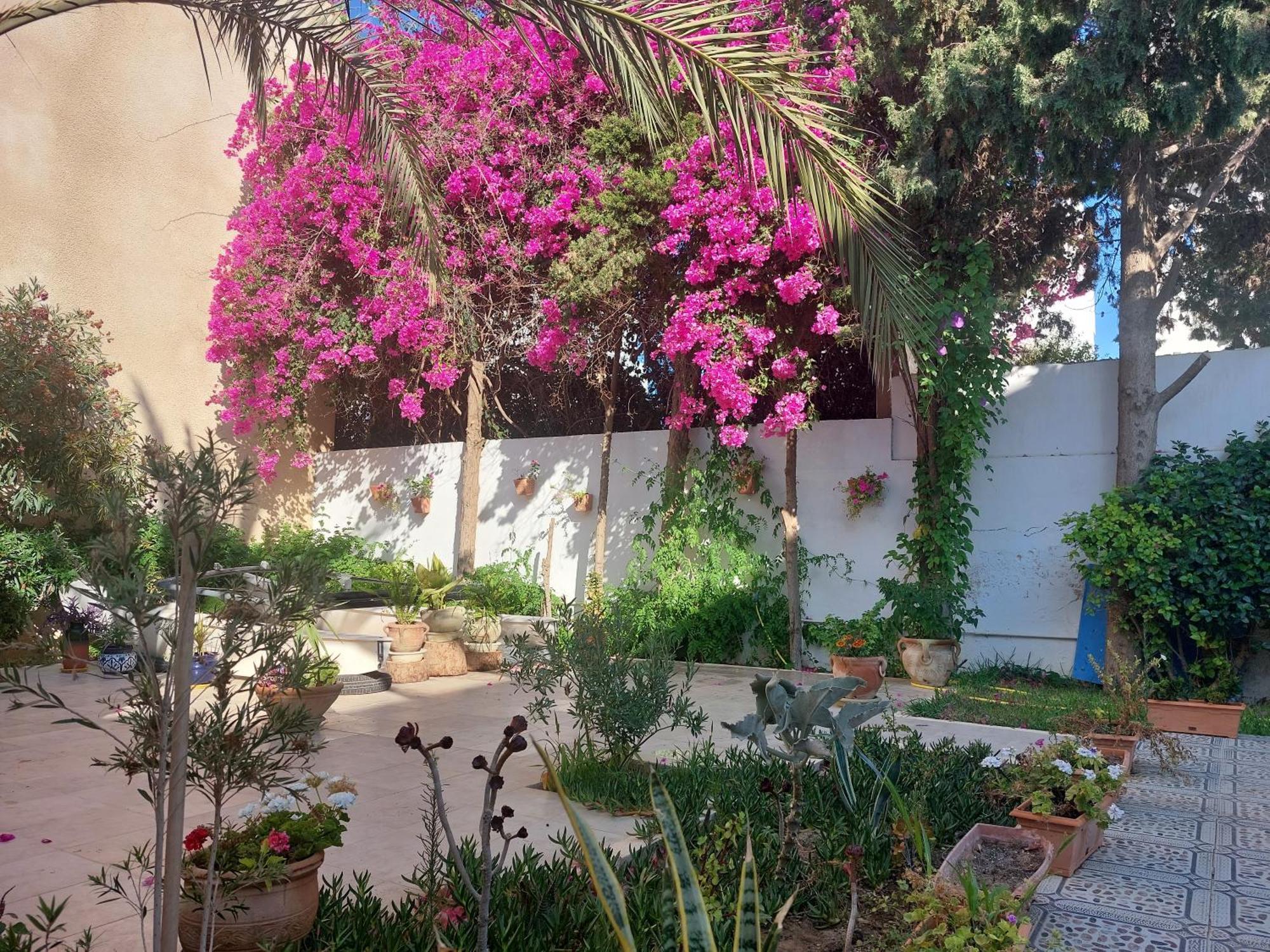 Villa Azaiiza Sousse Eksteriør billede
